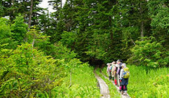 クアオルトで健康に過ごす